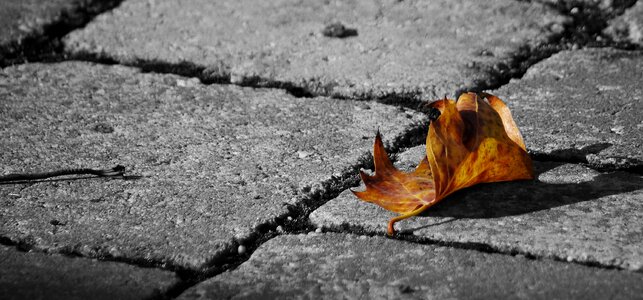 Outdoors pavement holidays