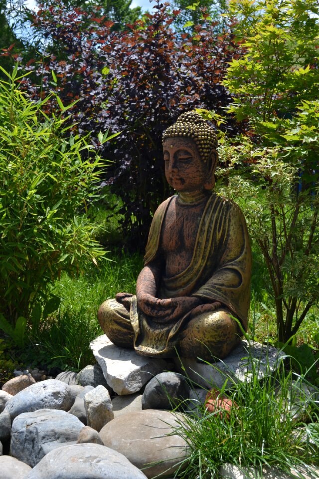 Buddah garden meadow