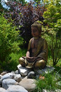 Buddah garden meadow