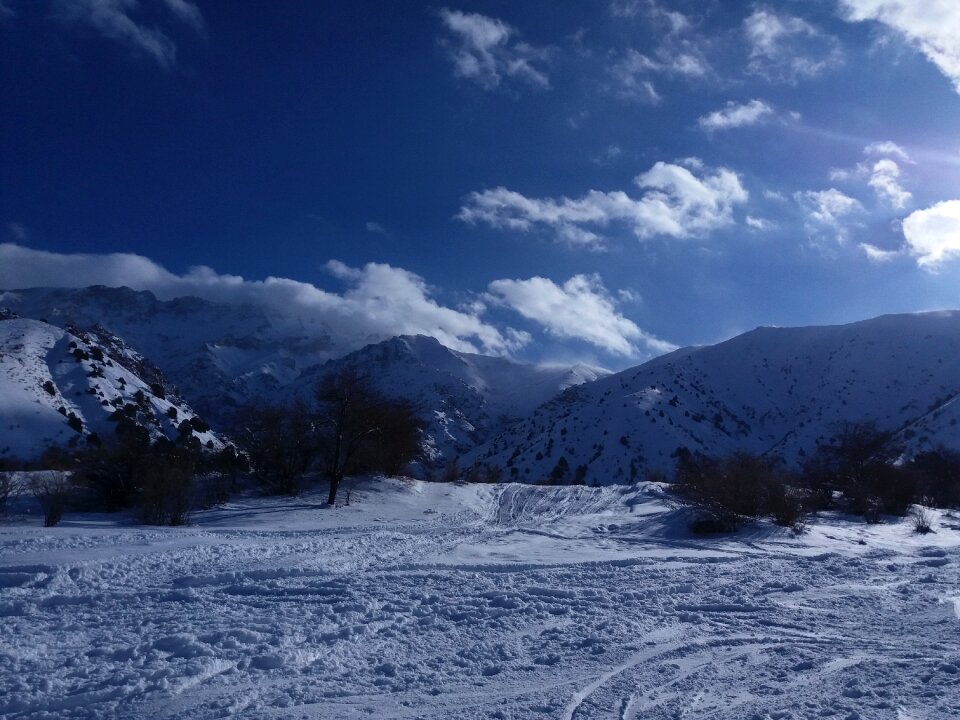 Landscape ice