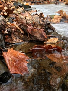 River environment