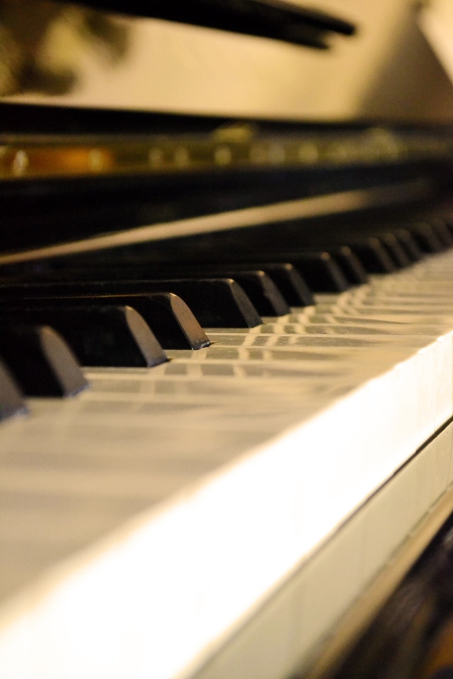 Musical instrument keyboard keys photo