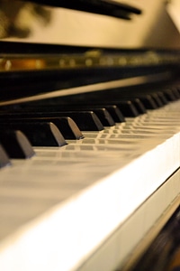 Musical instrument keyboard keys photo