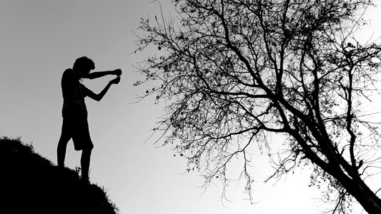 Branch nature landscape