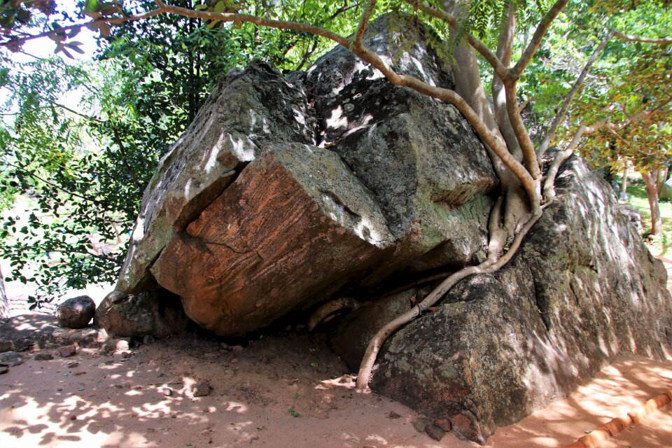 Nature at the court of travel