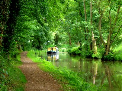 Landscape summer environment