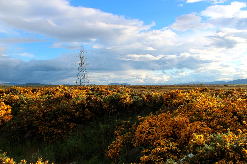 Sky plant strommast