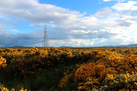 Sky plant strommast