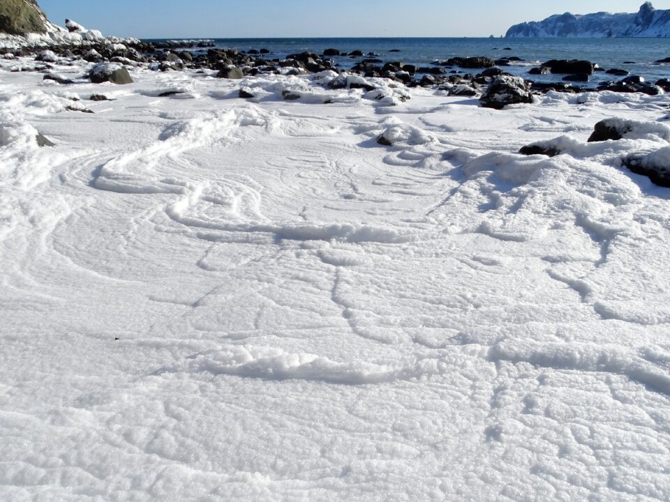 Sea foam winter frost