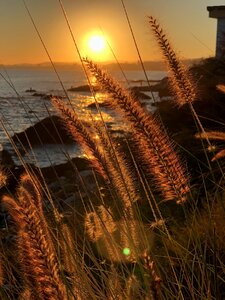 Sun sky summer