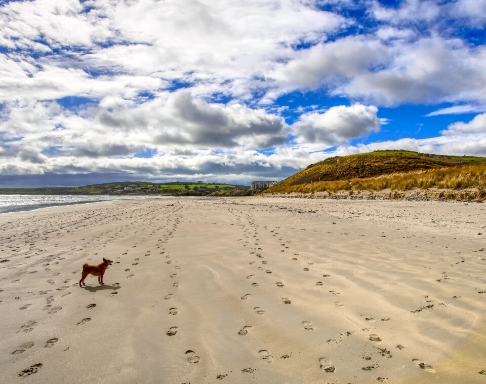Desert seashore ireland