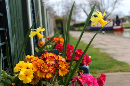 Narrowboat narrow boat
