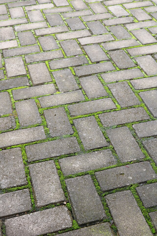 Footpath cobblestone paving