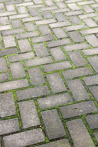 Footpath cobblestone paving photo