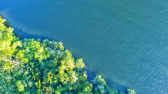 Sea landscape drone photo