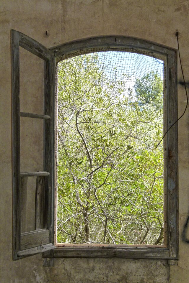 Old wall abandoned