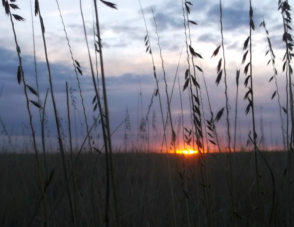 Dawn sunrise