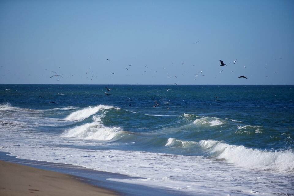 Beach ocean california