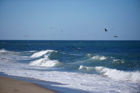 Beach ocean california
