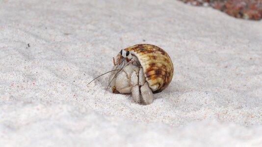 Nature sand Free photos