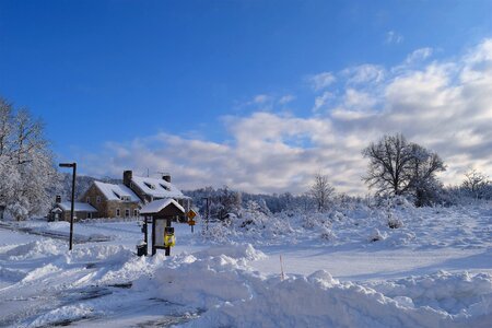 Frost frozen house photo