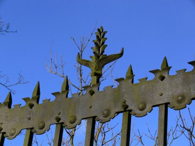 Fence wrought iron