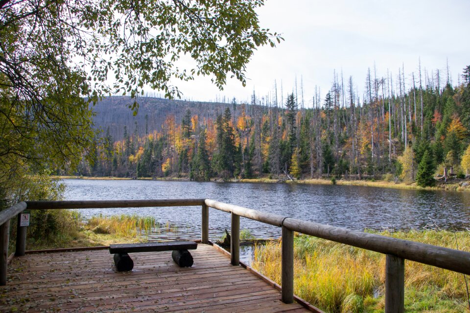 Nature landscape peace