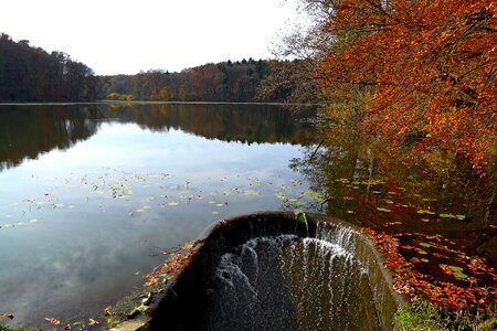 Nature slovenia
