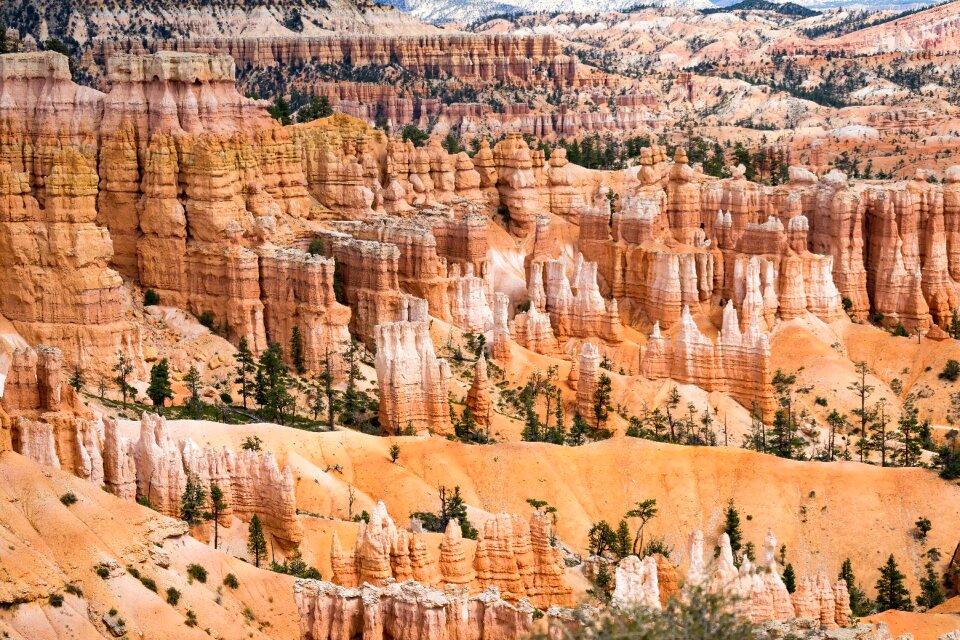 Travel canyon tourism