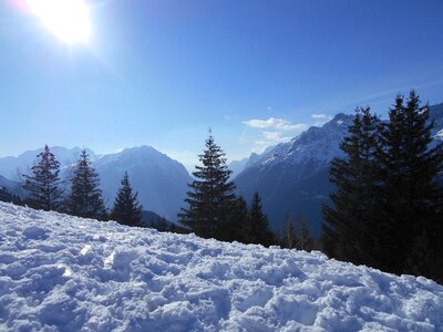 Mountain frost wood photo