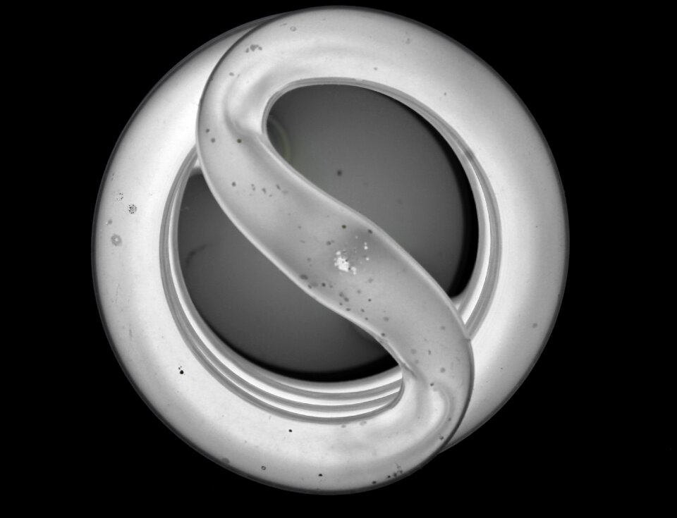 Metallic form curve