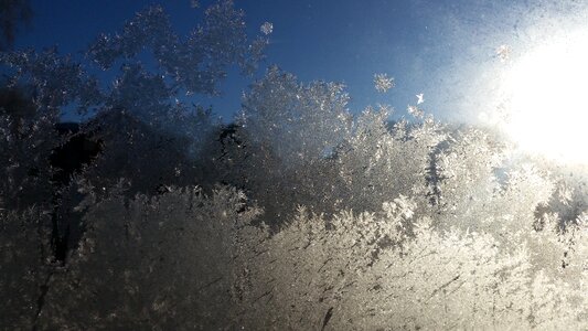 Snow frost landscape