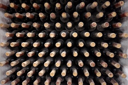 Bottles winemaking the maturing of wine photo