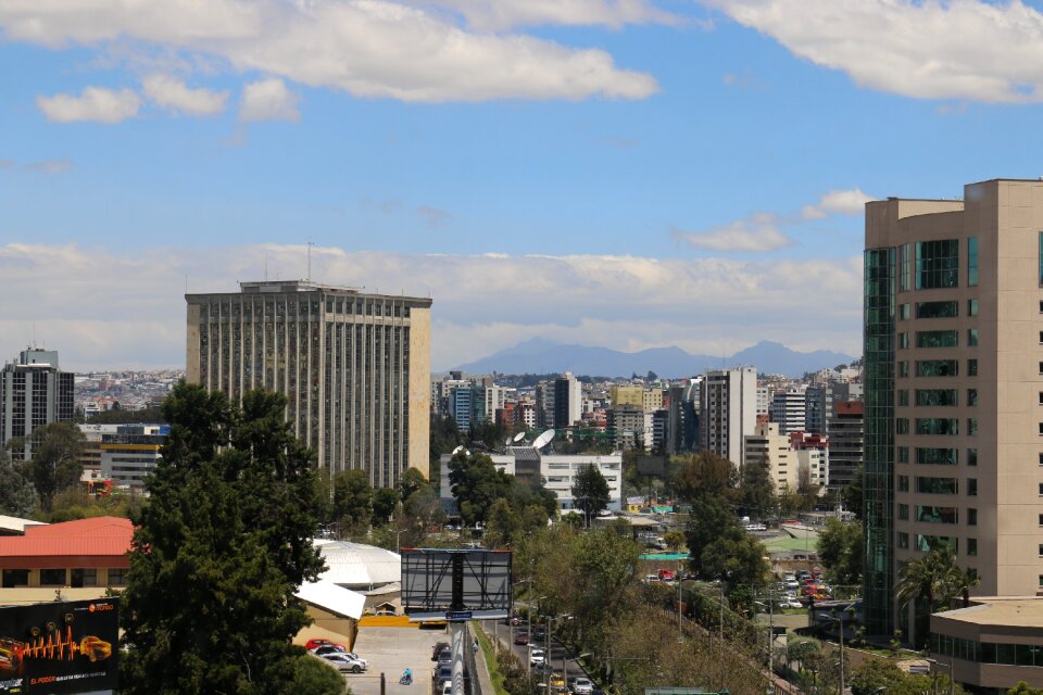 Panoramic office skyscraper