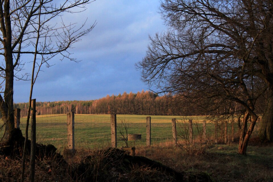 Wood outdoors grass