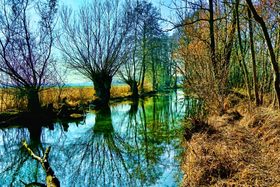 River wood winter photo