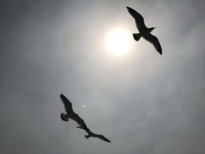 Heaven outdoors flight