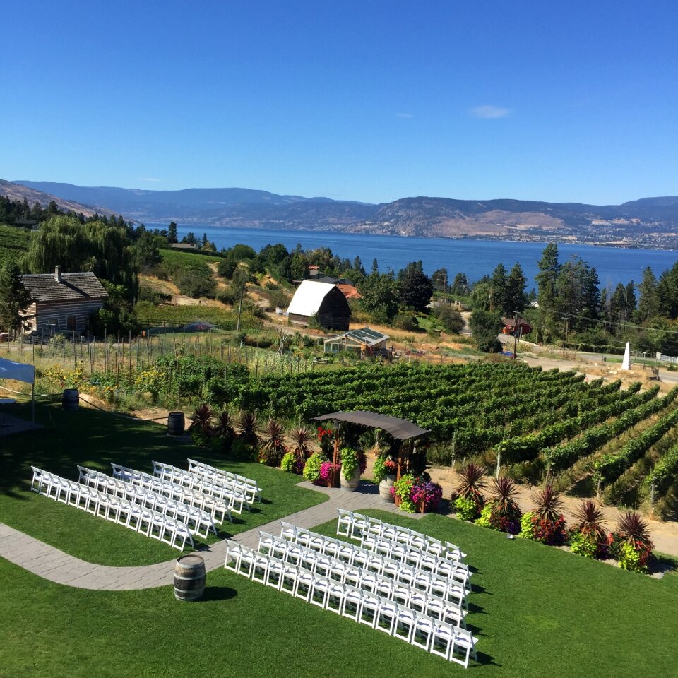 House vineyard water