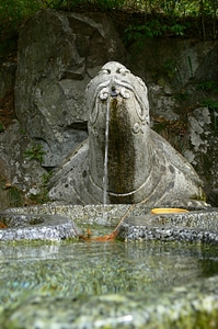 Water drinking fresh