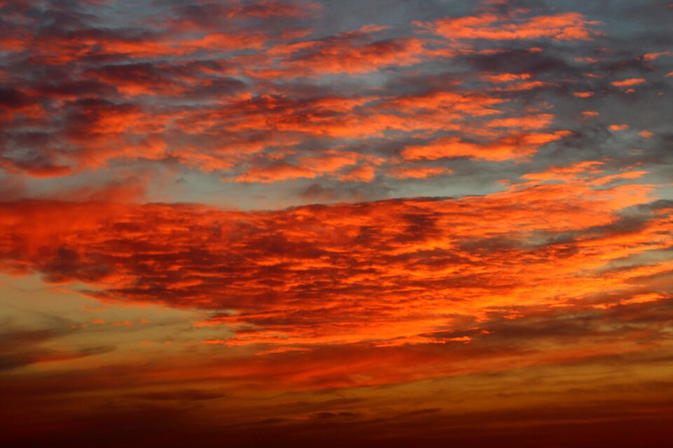 Nature sun