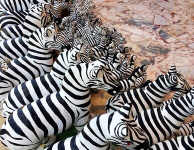 Natural wildlife expensive