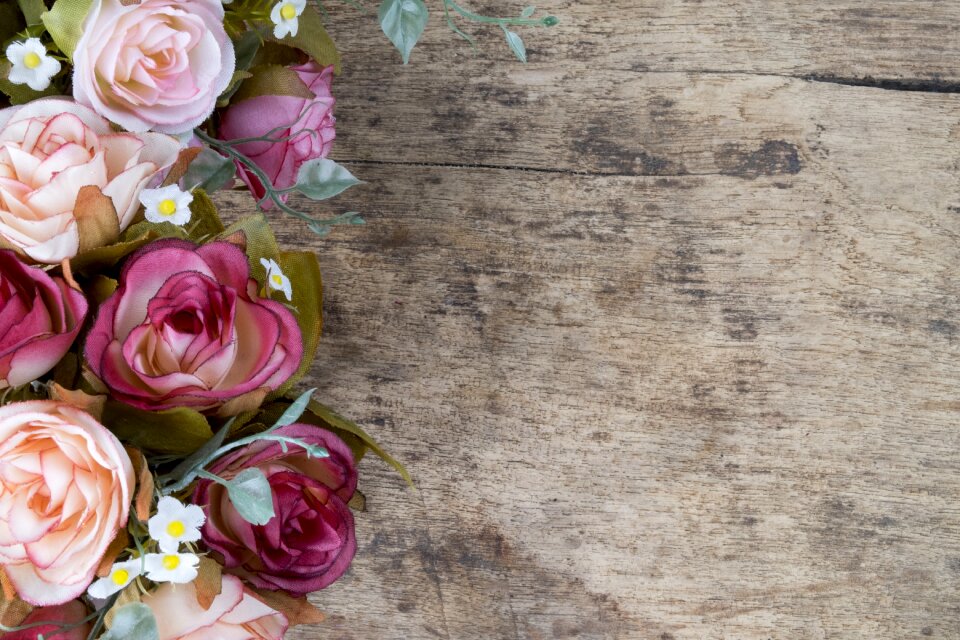 Flora desktop rose