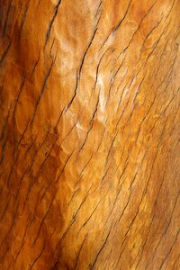 Pattern texture old