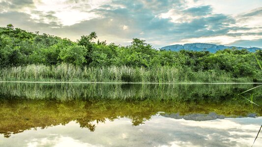 Reflection river south africa