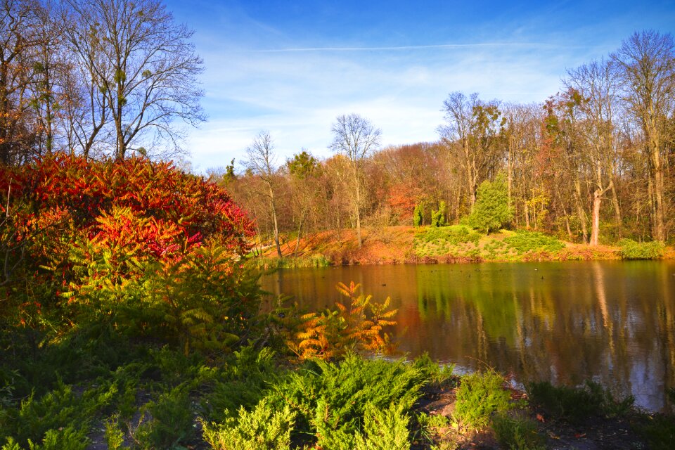 Landscape leaf season photo