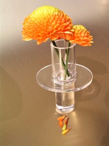 Flora glass photo