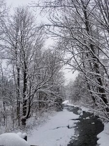 Cold frozen