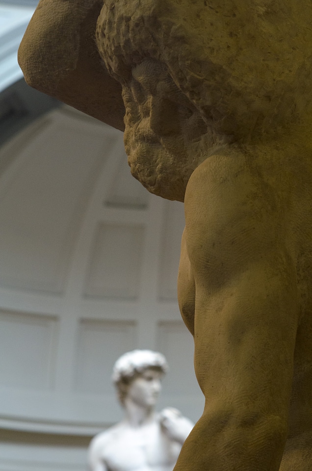 Michelangelo art prisons