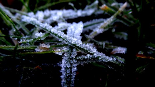 Frost season outdoors photo