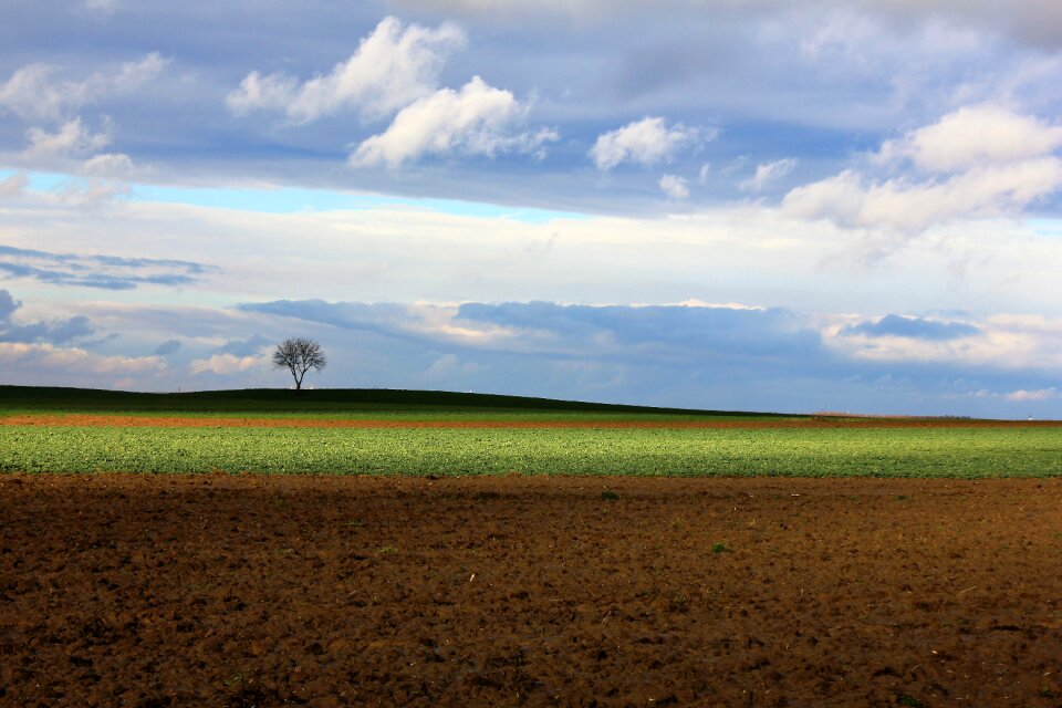 Sky landscape panoramic